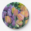 Buscar coloful Flores