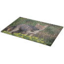 Buscar garras tablas cortar Naturaleza