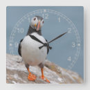 Buscar birdwatching arte Fotografía
