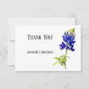 Buscar bluebonnet Flores de bluebonnet