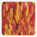 Buscar amsterdam pegatinas Colorido