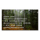 Buscar abedul tarjetas de visita Naturaleza