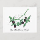 Buscar blackberry postales Moras