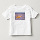 Buscar osa mayor camisetas Anwr