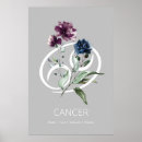 Buscar horóscopos posters Cáncer