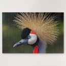 Buscar rojo blanco negro puzzles Animal