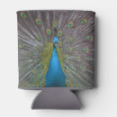 Buscar pavo real almacenaje alimentos Naturaleza