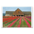 Buscar de la granja posters Flores