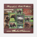 Buscar polar oso imanes Naturaleza