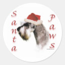 Buscar schnauzer pegatinas Animales