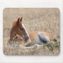 Buscar mustang alfombrillas de raton Ratonera