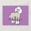 Buscar caniche estándar postales Para ella