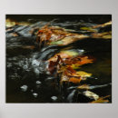Buscar corriente posters Otoño