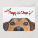 Buscar bienvenida mascotas tarjetas General y unisex