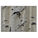 Buscar corteza árbol tablas cortar Madera