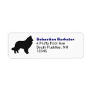 Buscar perro pastor belga postales Animales