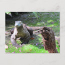 Buscar dragón de komodo postales Reptil