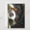 Buscar silueta del perro invitaciones Cachorro