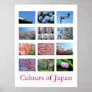 Buscar cerezo japonés posters Flores