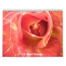 Buscar rosas calendarios Fotos