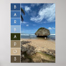 Buscar playas barbados arte Viajes
