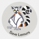 Buscar lemurs postales Madagascar