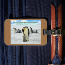 Buscar 1 juan 4 accesorios Escritura