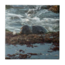 Buscar sellos azulejos General y unisex