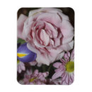 Buscar flor de lavanda imanes Fotografía