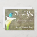Buscar colibríes blancos tarjetas Pájaros