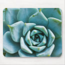 Buscar suculento alfombrillas de raton Desierto