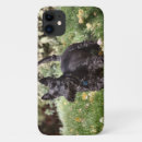 Buscar terrier escocés iphone fundas Lindo