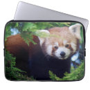 Buscar fauna fundas Panda