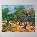 Buscar aceite de oliva posters Naturaleza