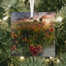 Buscar la india adornos Naturaleza