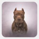 Buscar american staffordshire terrier pegatinas Perro