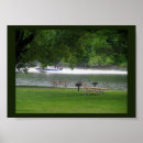 Buscar lancha posters Naturaleza