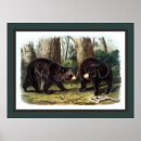 Buscar naturalistas posters General y unisex