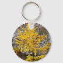 Buscar ginkgo llaveros Árbol