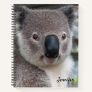 Buscar koala cuadernos Lindo