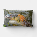 Buscar koi cojines Rojo