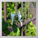 Buscar hoja verde posters Blanco