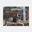 Buscar pastor aleman fotografía Fotografía de perro