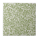 Buscar jazmín azulejos Elegante