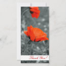 Buscar amapolas tarjetas Gratitud