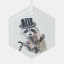 Buscar mapache adornos Diversión