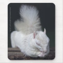 Buscar albino alfombrillas de raton Blanco