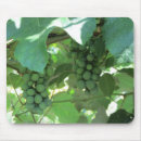 Buscar uvas alfombrillas de raton Viñedo