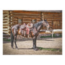 Buscar cola de caballo Montura