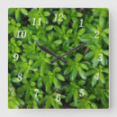 Buscar musgo relojes de pared Botánico